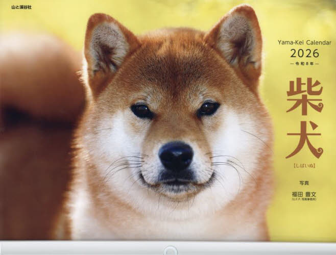 カレンダー '26 柴犬 福田豊文 カレンダー - 最安値・価格比較