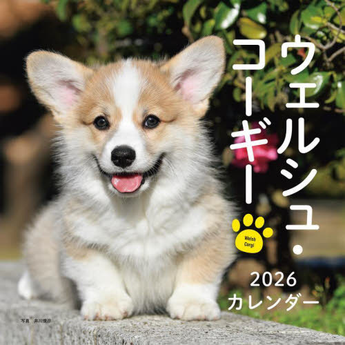 ２０２６カレンダーウェルシュ・コーギー 井川俊彦 カレンダーの商品画像