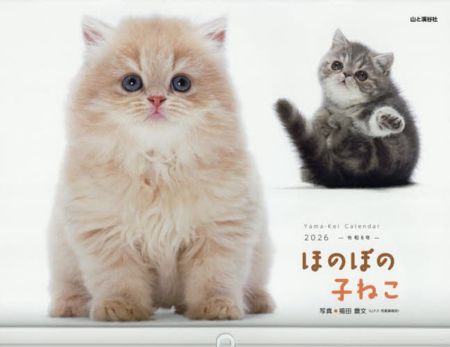 カレンダー　’２６　ほのぼの子ねこ 福田豊文 カレンダーの商品画像