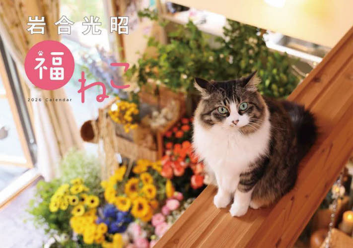岩合光昭福ねこカレンダー２０２６ 岩合光昭 カレンダーの商品画像