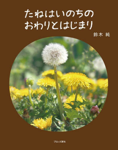 たねはいのちのおわりとはじまり 鈴木純／著 3、4歳向け絵本その他の商品画像
