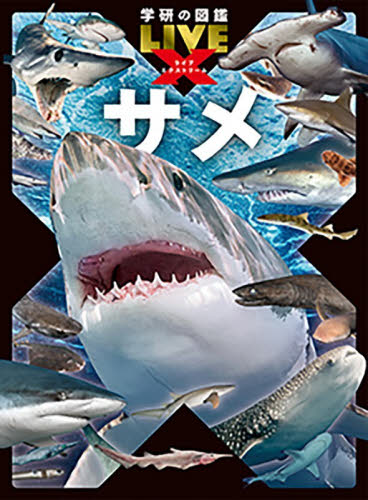 サメ （学研の図鑑ＬＩＶＥ　Ｘ　２） アクアワールド茨城県大洗水族館／監修 学習図鑑その他の商品画像
