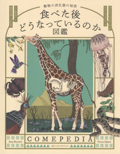 食べた後どうなっているのか図鑑　動物の消化器の秘密 アイナ・ベスタール／絵　ビクトル・サバテ／文　五十嵐加奈子／訳　綿貫宏史朗／日本語版監修 ノンフィクション書籍その他の商品画像