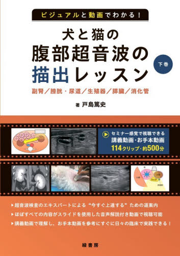 ビジュアルと動画でわかる！犬と猫の腹部超音波の描出レッスン　下巻 戸島篤史／著 獣医学の本の商品画像