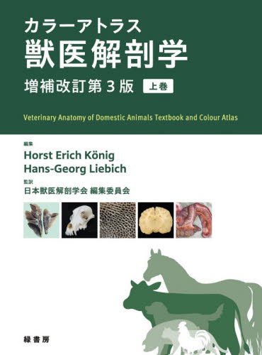 カラーアトラス獣医解剖学　上巻 （増補改訂第３版） Ｈｏｒｓｔ　Ｅｒｉｃｈ　Ｋｏｎｉｇ／編集　Ｈａｎｓ‐Ｇｅｏｒｇ　Ｌｉｅｂｉｃｈ／編集　日本獣医解剖学会編集委員会／監訳 獣医学の本の商品画像