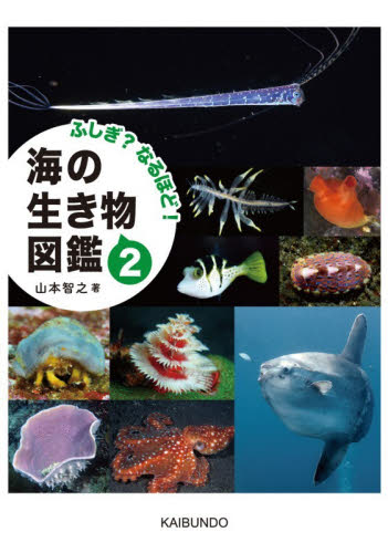 ふしぎ？なるほど！海の生き物図鑑　２ 山本智之／著 生物学の本その他の商品画像