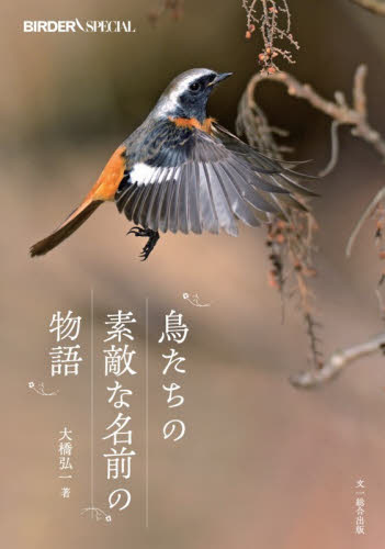 鳥たちの素敵な名前の物語 （ＢＩＲＤＥＲ　ＳＰＥＣＩＡＬ） 大橋弘一／著 フィールド図鑑の商品画像