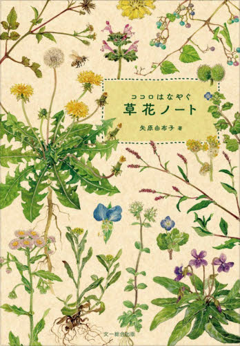 ココロはなやぐ草花ノート 矢原由布子／著 フィールド図鑑の商品画像