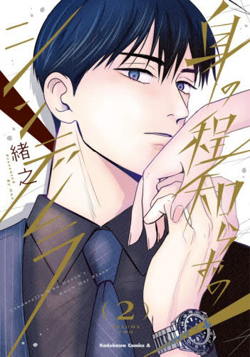 身の程知らずのシンデレラ　２ （角川コミックス・エース　Ｃｏｍｉｃ　Ａｉｌｙ） 緒之／著 角川書店 カドカワコミックス エースの商品画像
