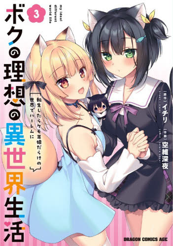 ボクの理想の異世界生活　転生したらケモ耳娘だらけの世界でハーレムに　３ （ドラゴンコミックスエイジ） イチリ／原作　空維深夜／作画 角川書店 カドカワコミックス ドラゴンJrの商品画像