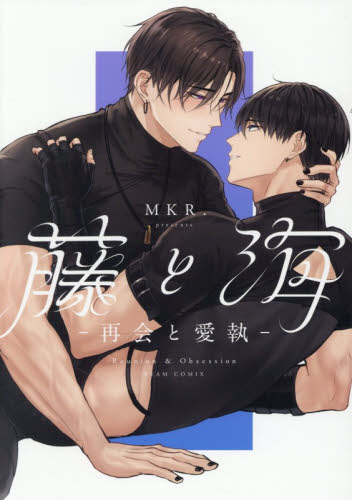 藤と海　再会と愛執 （ＢＥＡＭ　ＣＯＭＩＸ） ＭＫＲ．／著 エンターブレイン ビームコミックスの商品画像