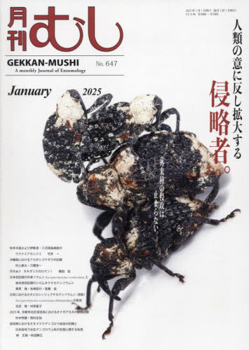 月刊むし 2025年1月号 (むし社) 自然科学雑誌の商品画像