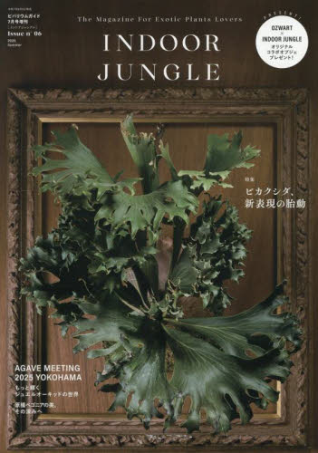ビバリウムガイド増刊 INDOOR JUNGLE 06 2025年7月号 (エムピージェー) ファッション誌の商品画像