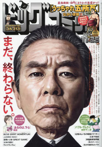ビッグコミック 2024年11月25日号 (小学館)