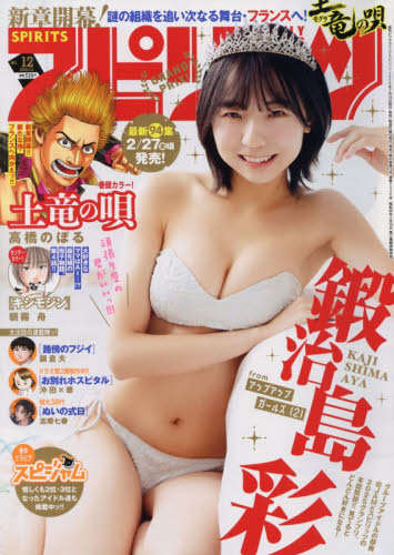 ビッグコミックスピリッツ ２０２６年３月２日号 （小学館） 総合、文芸その他週刊誌の商品画像